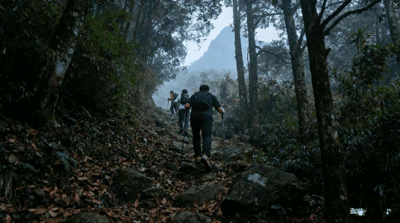小火箭加速器订阅详细渠道介绍
